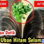 bahan alami menghitamkan rambut