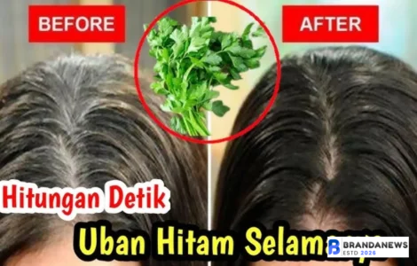 bahan alami menghitamkan rambut