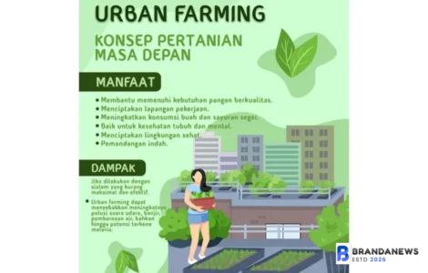 urban farming dan manfaatnya