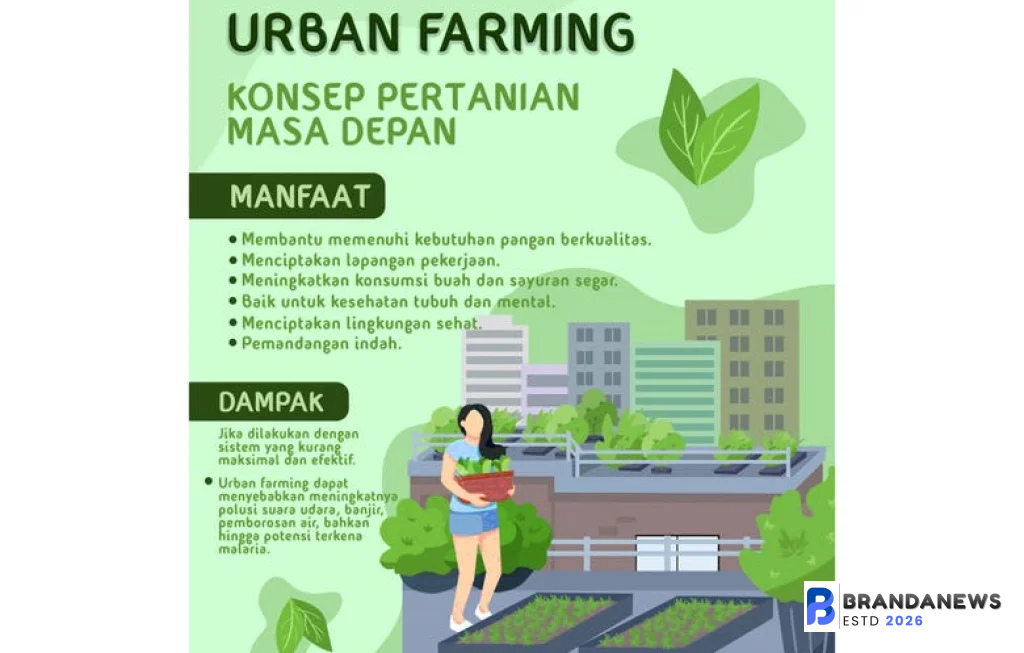 urban farming dan manfaatnya